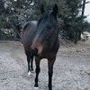 bethhexamer05
